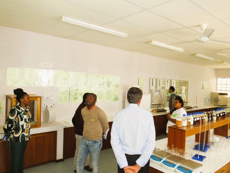 Lab Complex